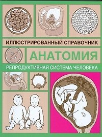 Анатомия.Репродуктивная система человека: Иллюстрированный справочник