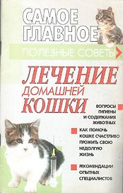 Лечение домашней кошки: полезные советы