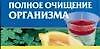 Полное очищение организма