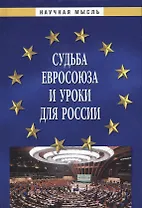 Судьба Евросоюза и уроки для России
