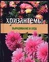 Хризантемы.Выращивание и уход