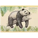 Альбом для рисования Listoff, "Панда", А4, 40 листов, на скрепке