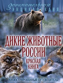 Дикие животные России. Красная книга: иллюстрированный путеводитель