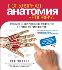 Популярная анатомия человека. Подробное иллюстрированное руководство с тестами для самоконтроля