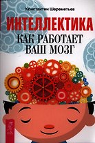 Интеллектика. Как работает ваш мозг