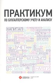 Практикум по бухгалтерскому учету и анализу. 3-е изд. стер.