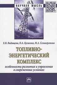 Топливно-энергетический комплекс:особенности развития и управления в современных условиях