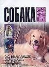 Мини.Собака-самый верный друг