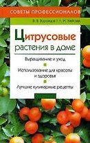 Цитрусовые растения в доме
