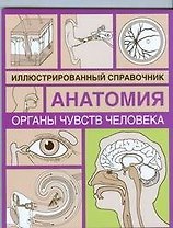 Органы чувств человека