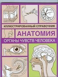 Органы чувств человека