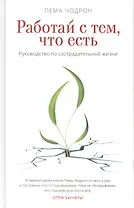 Работай с тем, что есть. Руководство по сострадательной жизни