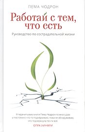 Работай с тем, что есть. Руководство по сострадательной жизни