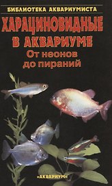 Харациновидные в аквариуме. От неонов до пираний