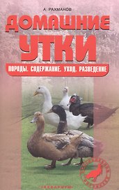 Домашние утки. Содержание и разведение.