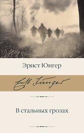 В стальных грозах