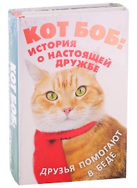 Кот Боб. История о настоящей дружбе. Друзья помогают в беде (комплект из 2 книг)