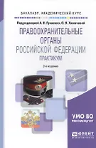 Правоохранительные органы Российской Федерации. Практикум. Учебное пособие для академического бакалавриата