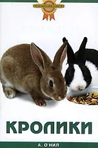 Кролики (мягк)(Золотые советы). ОНил А. (Аквариум)