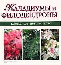 Каладиумы и филодендроны
