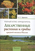 Лекарственные растения и грибы средней полосы России