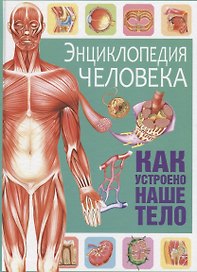 Энциклопедия человека. Как устроено наше тело