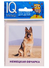 Умный малыш. Породы собак. Набор карточек для детей