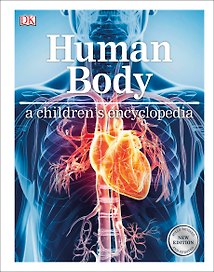 Human Body. A children's encyclopedia