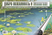 Добро пожаловать в экологию! Демонстрационные картины и динамические модели для занятий с детьми 5-6 лет (старшая группа)