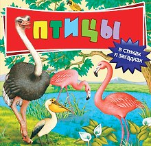 Птицы в стихах и загадках
