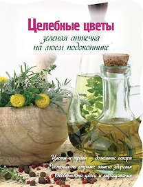 Вырубка.Зеленая аптека на моем подоконнике