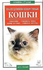 Полудлинношерстные кошки: Кормлние, стандарты пород, выбор котенка, аптечка