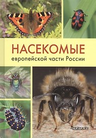 Насекомые Европейской части России