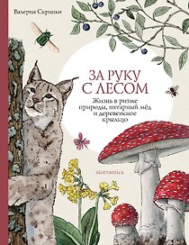 За руку с лесом. Жизнь в ритме природы, янтарный мёд и деревенское крыльцо