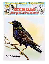 Развивающие карточки Птицы перелетные (0+) (12 карточек)