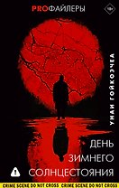 День зимнего солнцестояния