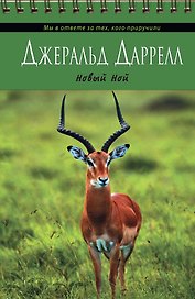 Новый Ной
