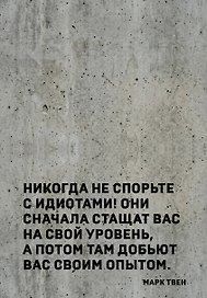 Блокнот. Никогда не спорьте с идиотами! (А5, твердая обложка, 64 л.)
