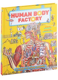 The Human Body Factory. A Guide To Your Insides
