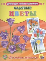 ОБУЧАЮЩИЕ КАРТОЧКИ. САДОВЫЕ ЦВЕТЫ