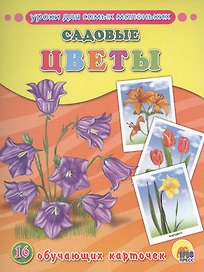ОБУЧАЮЩИЕ КАРТОЧКИ. САДОВЫЕ ЦВЕТЫ