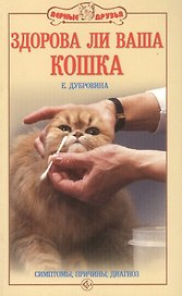 Здорова ли ваша кошка. Симптомы, причины, диагноз.