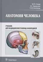 Анатомия человека. Учебник для медицинских училищ и колледжей