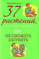 37 растений, которые даже вы не сможете загубить