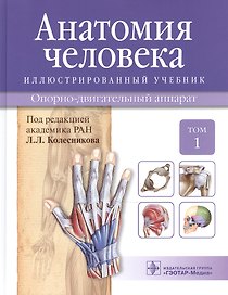Анатомия человека.Т.1-Опорно-двигательный аппарат.Учебник в 3 томах