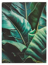 Книга для записей А4 160л кл. "Стрелиция" 7БЦ, глянц.лам, офсет