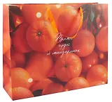 Пакет А3+ 50*40*15 "Время чудес…" Новый год, бум.ламинат