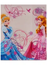 Обложки для тетрадей 5 шт "Princess"