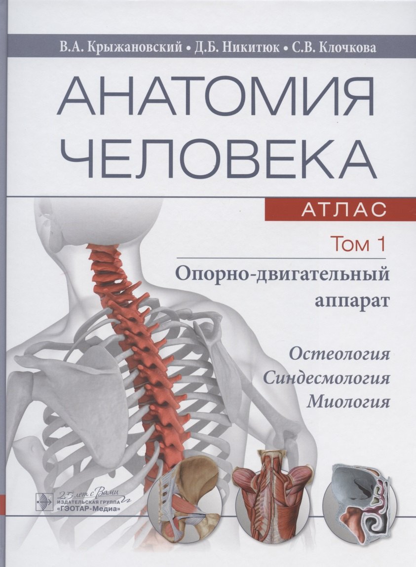 Анатомия человека: атлас. В трех томах. Том 1. Опорно-двигательный аппарат. Учебное пособие
Анатомия человека: атлас. В трех томах. Том 1. Опорно-двигательный аппарат. Учебное пособие