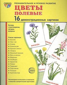 Дем. картинки СУПЕР Цветы полевые.16 демонстр.картинок с текстом(173х220мм)